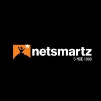 client LOGO netsmartz-llc